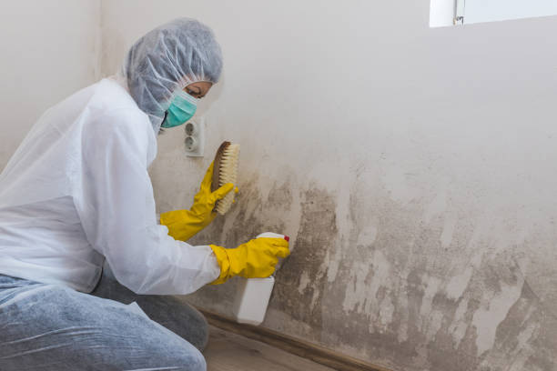 Water Damage Restoration in Lincoln, AL