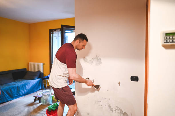 Best Affordable Mold Removal  in Lincoln, AL